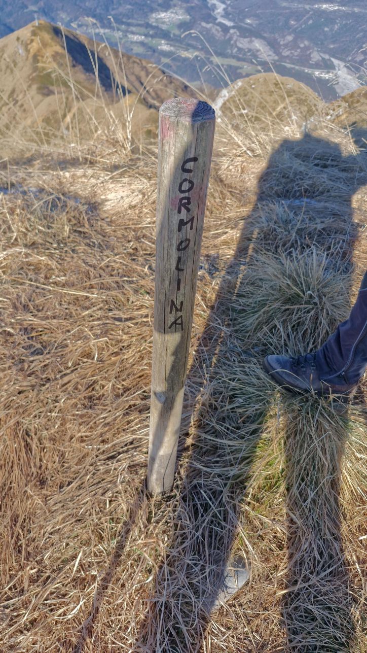 Monte Verzegnis, 1914 m